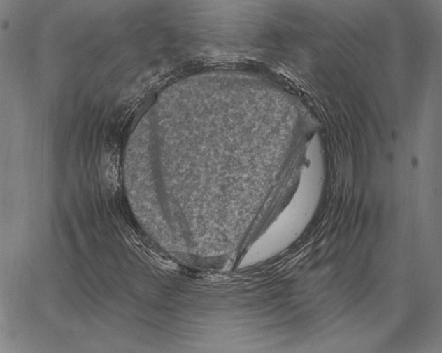 X0000067401348200604211648