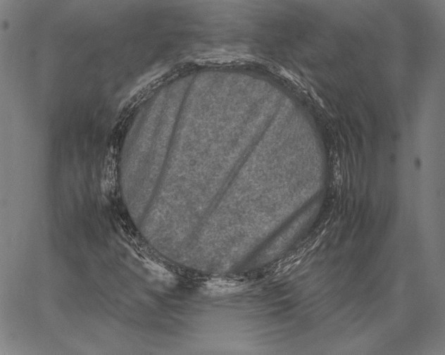 X0000067401350200604211648