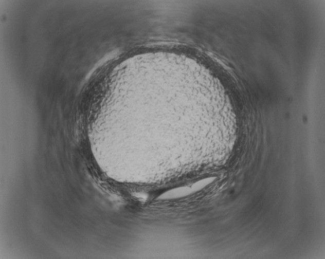 X0000067401351200604211648