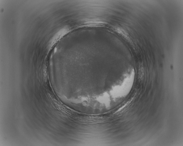 X0000067401362200604211648