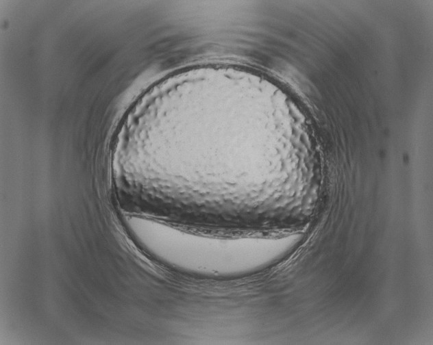 X0000067401371200604211648