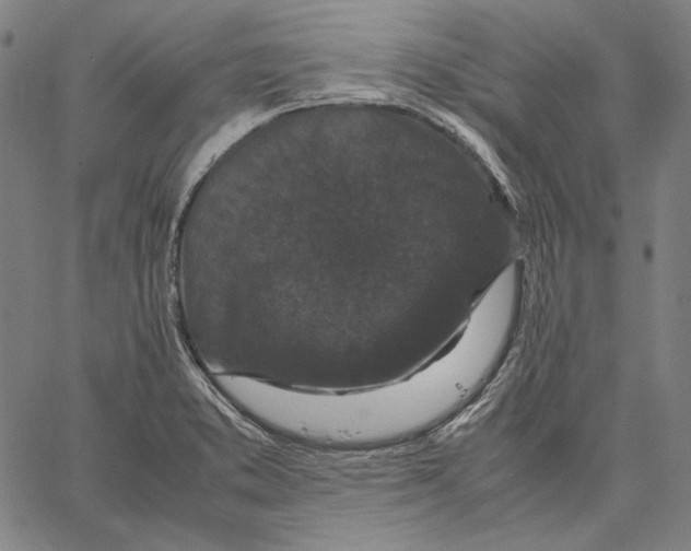 X0000067401373200604211648