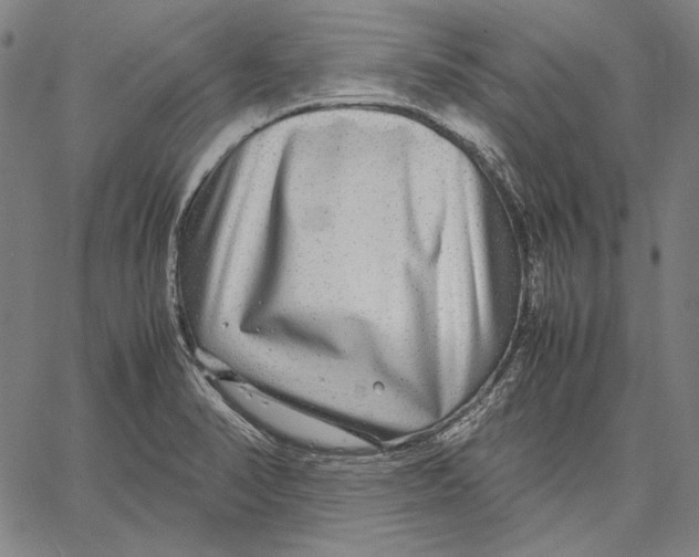 X0000067401374200604211648