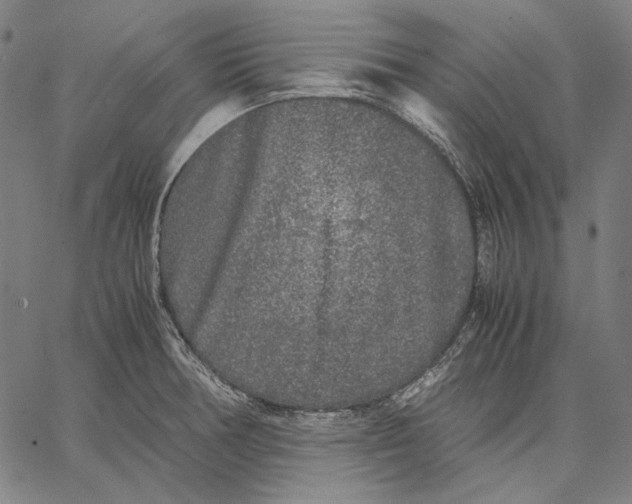 X0000067401378200604211648