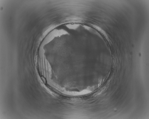 X0000067401383200604211648