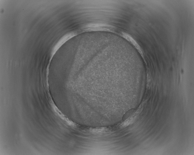X0000067401386200604211648