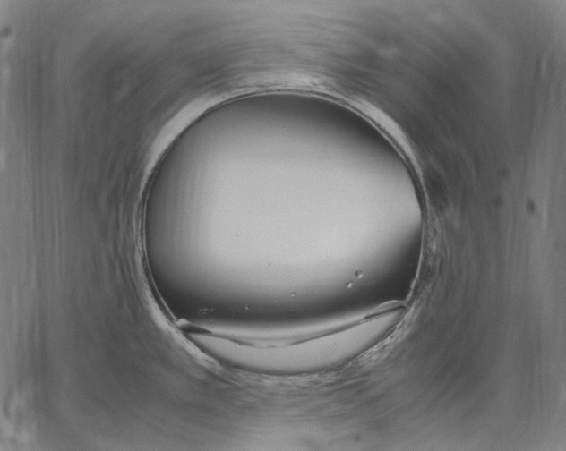 X0000067401389200604211648