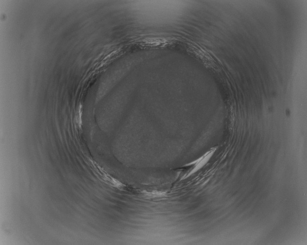 X0000067401394200604211647