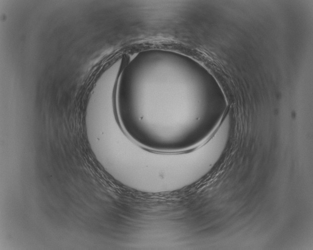 X0000067401398200604211647