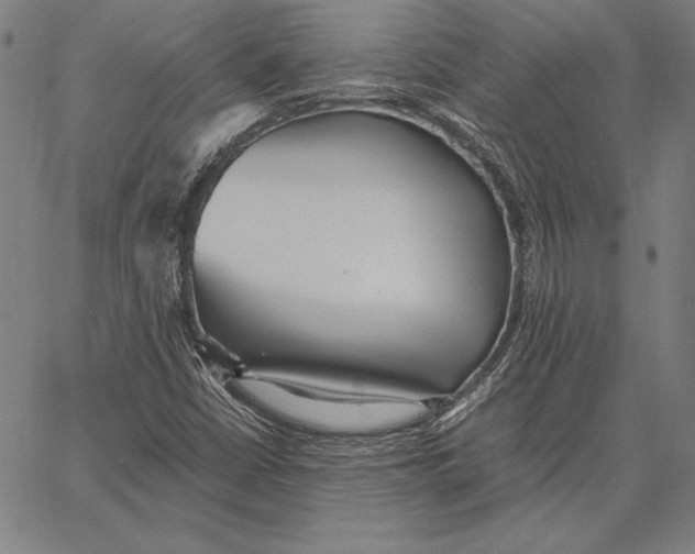 X0000067401402200604211647