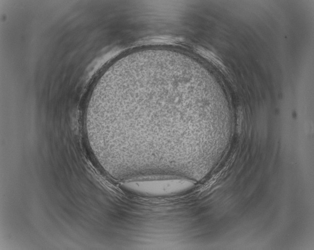 X0000067401404200604211647