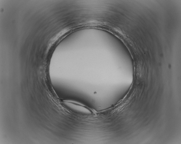 X0000067401410200604211647