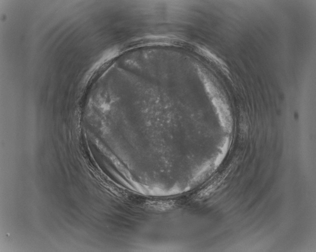 X0000067401411200604211647