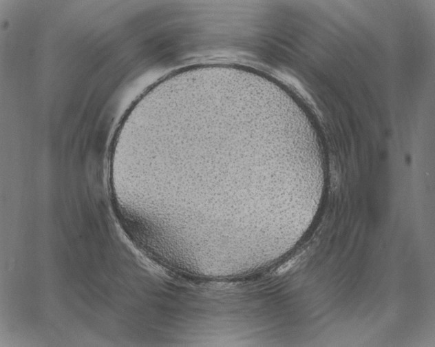 X0000067401424200604211647