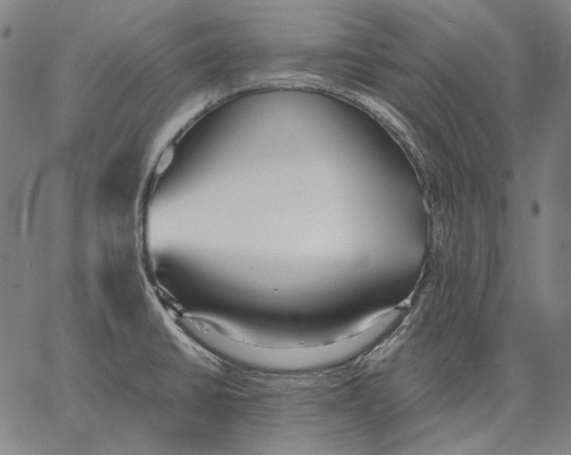 X0000067401430200604211648