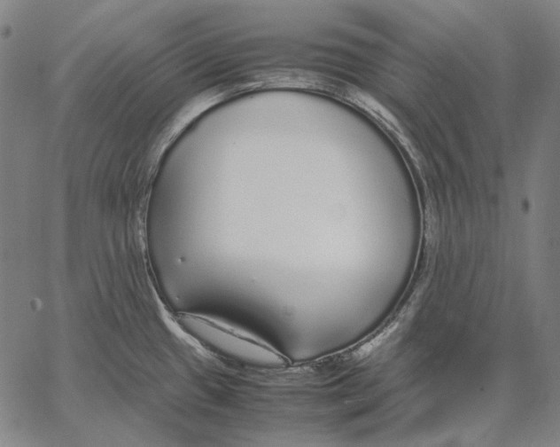 X0000067401433200604211648