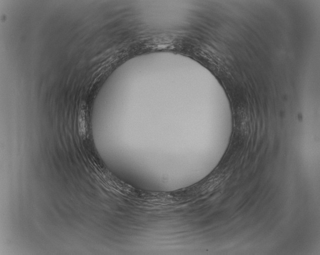 X0000067401442200604211647