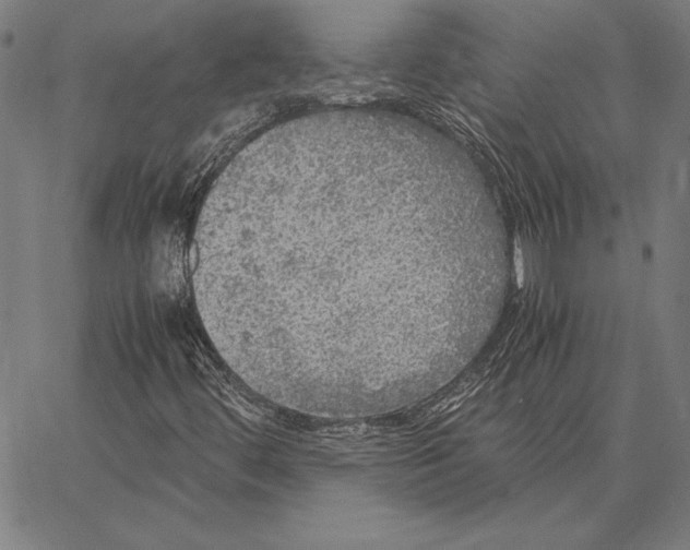 X0000067401444200604211647
