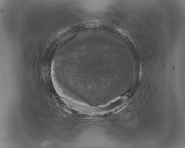 X0000067401445200604211647