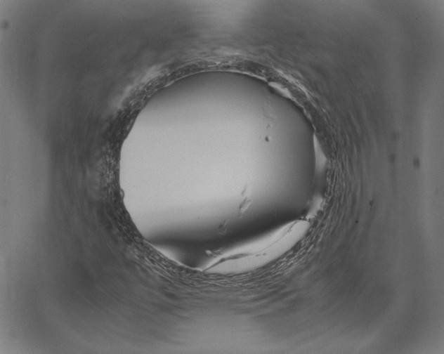 X0000067401447200604211647