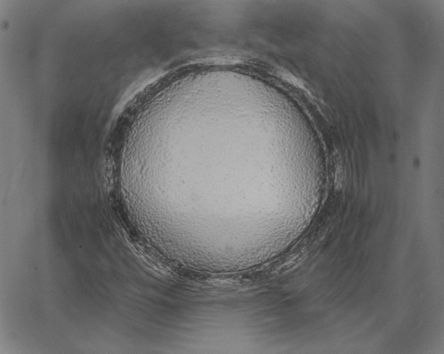 X0000067401448200604211647