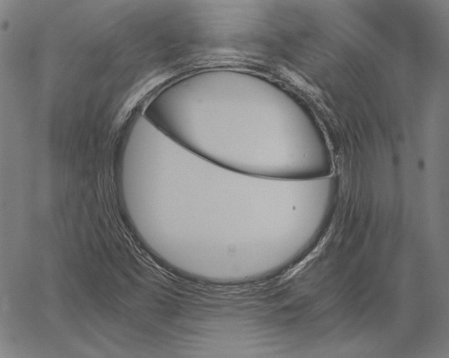 X0000067401453200604211647