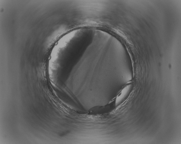 X0000067401455200604211647