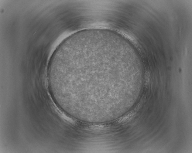 X0000067401470200604211646