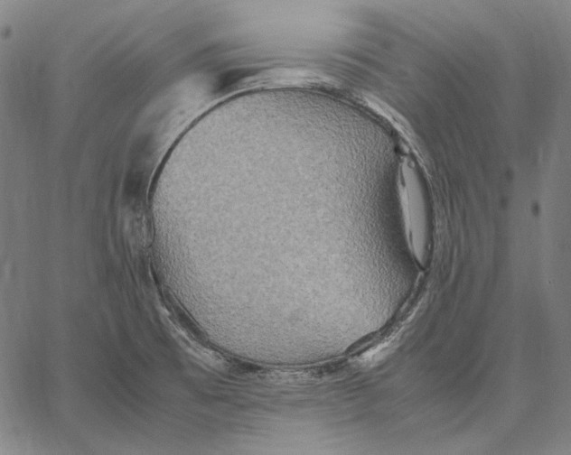 X0000067401473200604211646