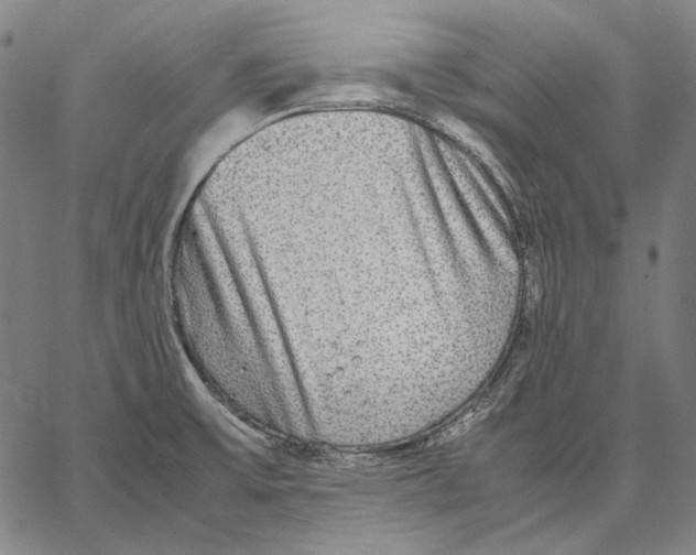 X0000067401475200604211646