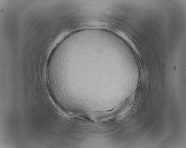 X0000067401477200604211646