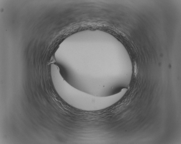 X0000067401492200604211645