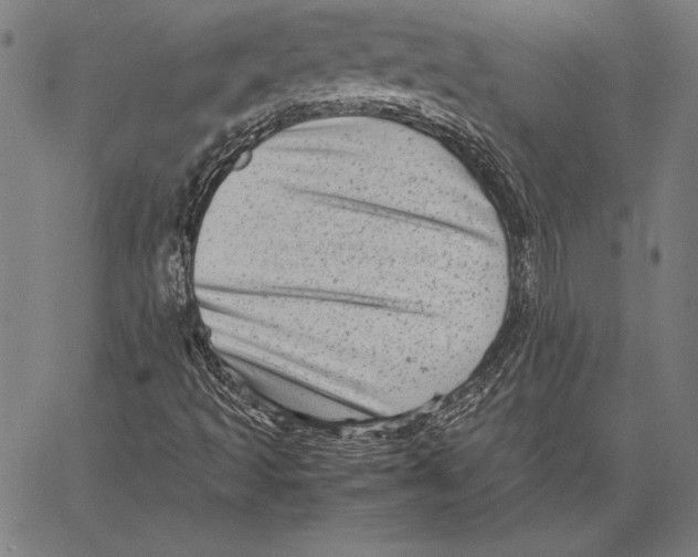 X0000067401493200604211645