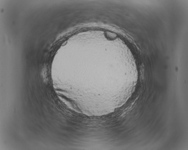 X0000067401494200604211645