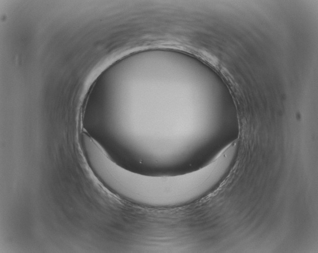 X0000067401520200604211646