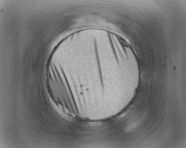 X0000067401523200604211646