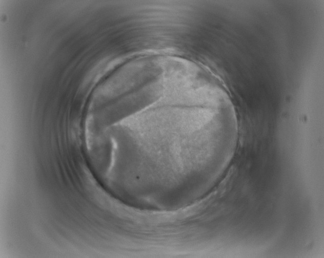 X0000067400002200604281919