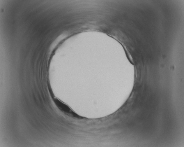 X0000067400003200604281919