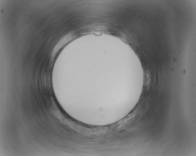 X0000067400004200604281919