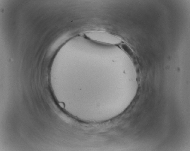 X0000067400005200604281919