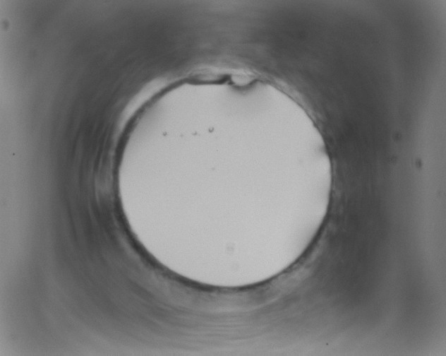 X0000067400008200604281919