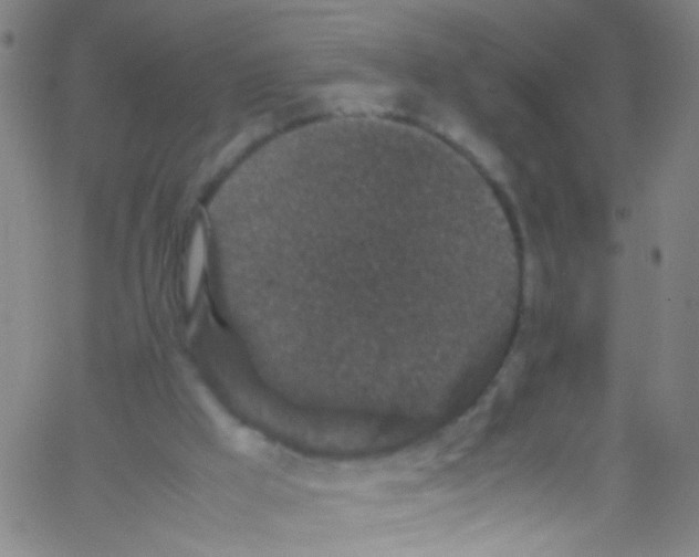 X0000067400009200604281919