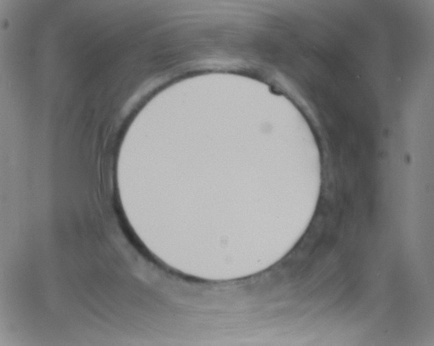 X0000067400011200604281919