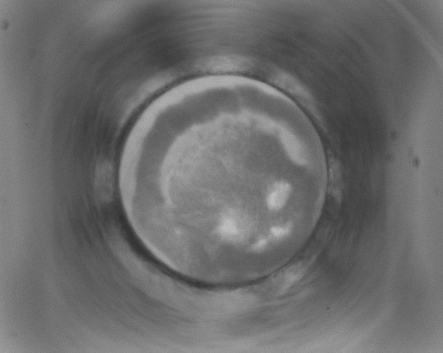 X0000067400012200604281919