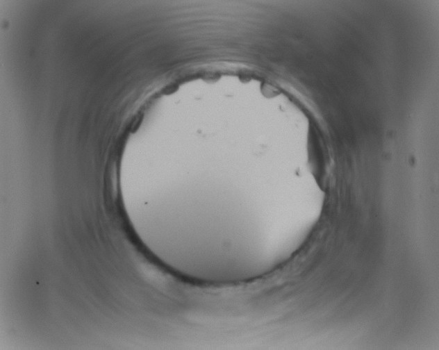 X0000067400013200604281919