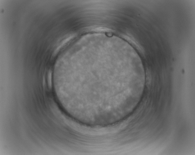 X0000067400014200604281919