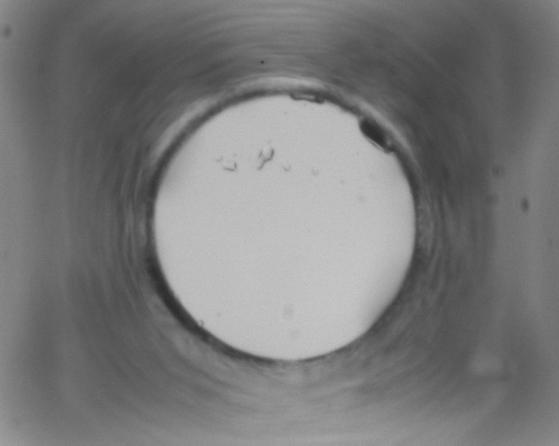 X0000067400015200604281919