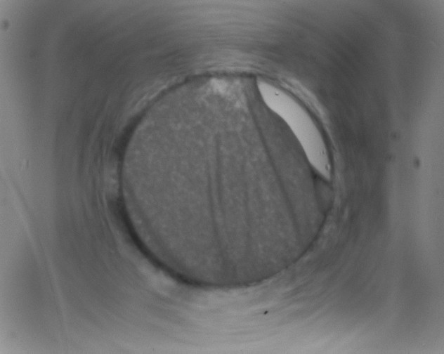 X0000067400017200604281919