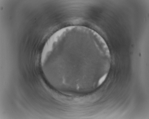 X0000067400018200604281919