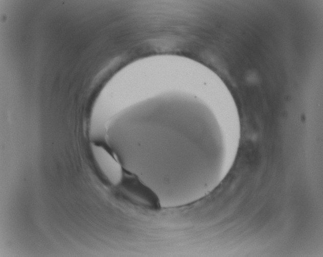 X0000067400019200604281919